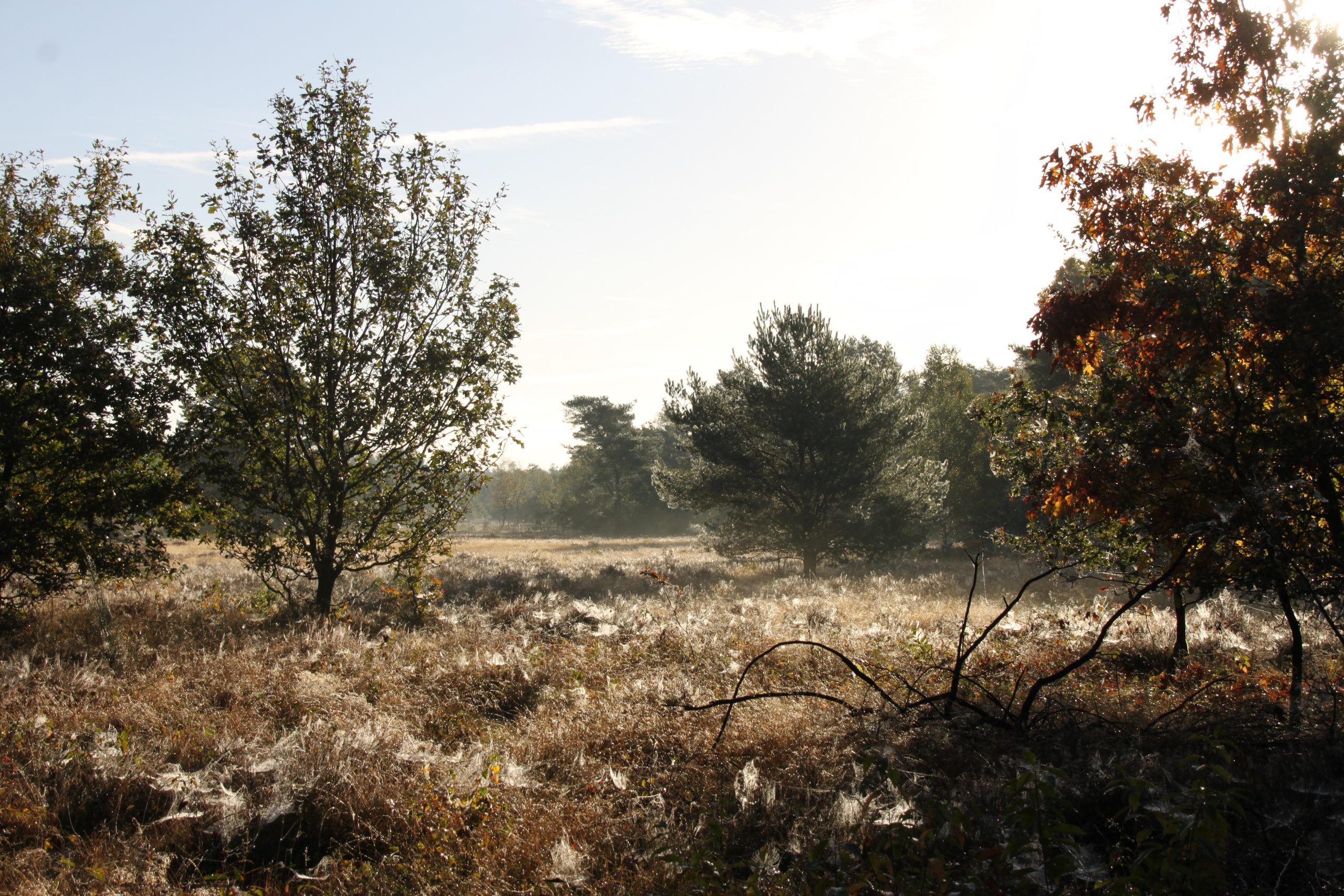 Astronomische herfst rustig en droog van start