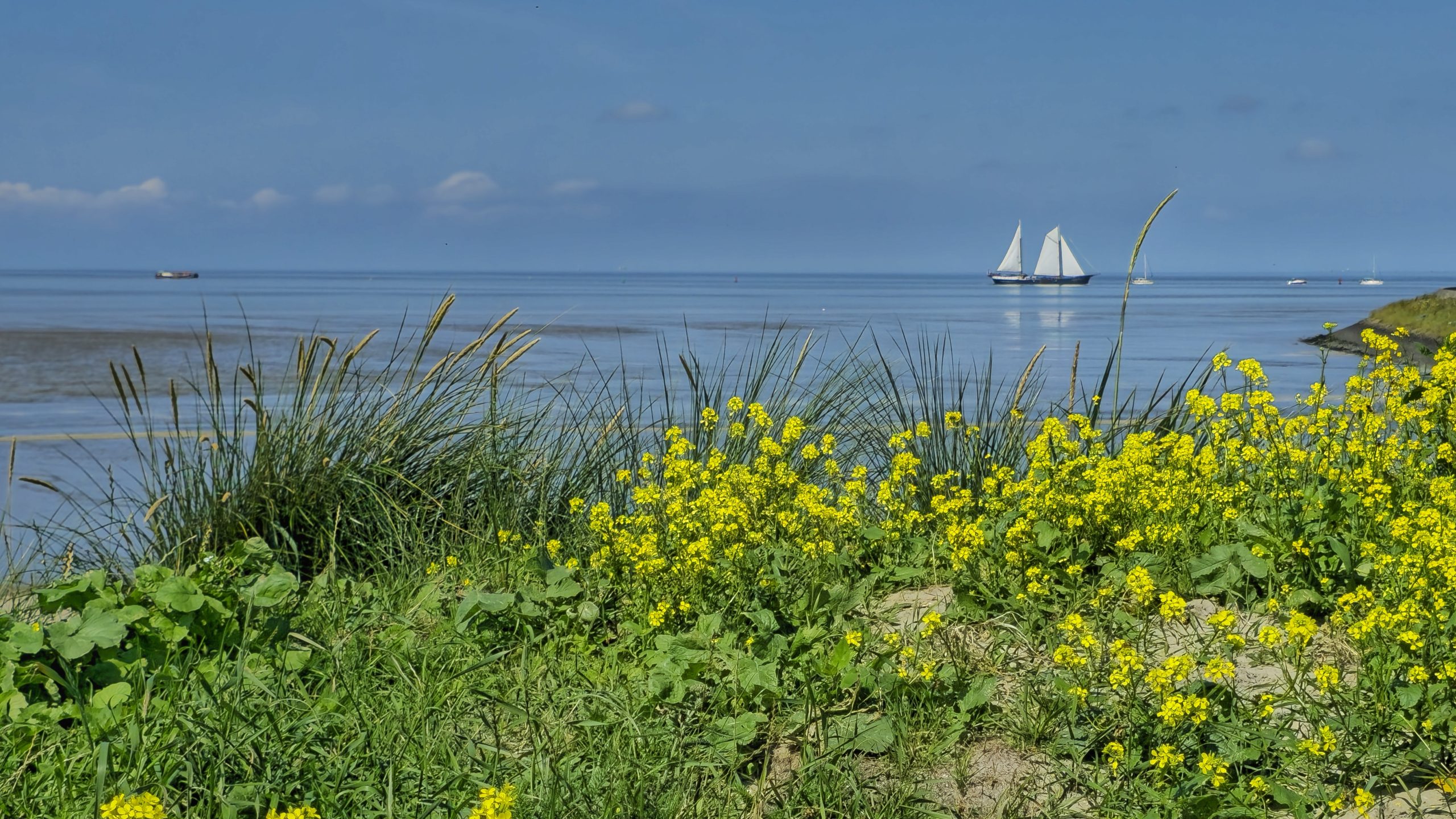 Meteorologische lente start in stijl