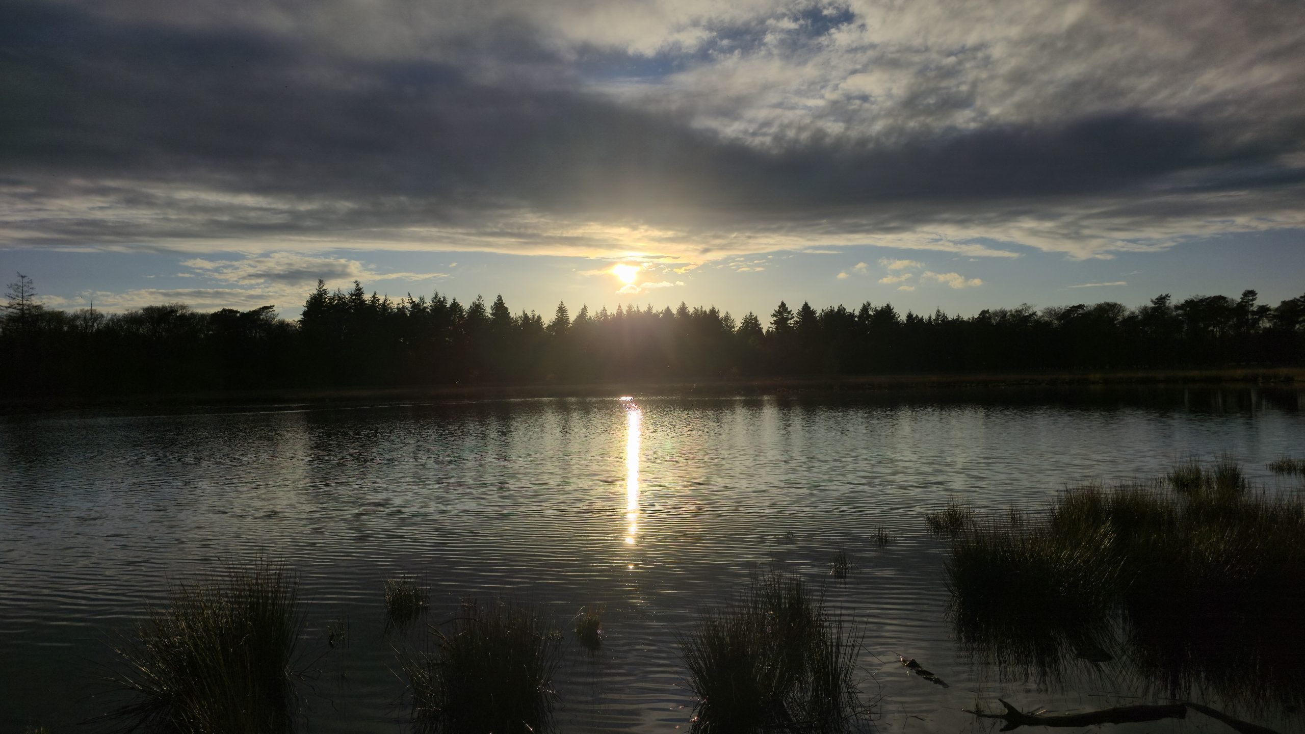 Aanhoudend droog en vrij zonnig