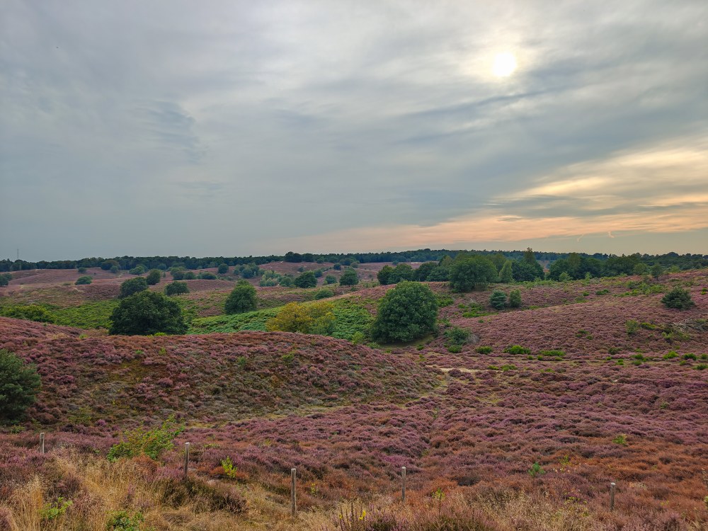 Westelijke stroming houdt wisselvallig weer in stand