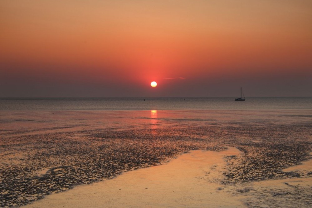 Volop zomerse opleving in aantocht